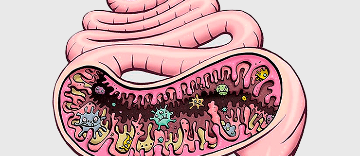 микробиом, бактерии кишечные, эпигенетика, гены